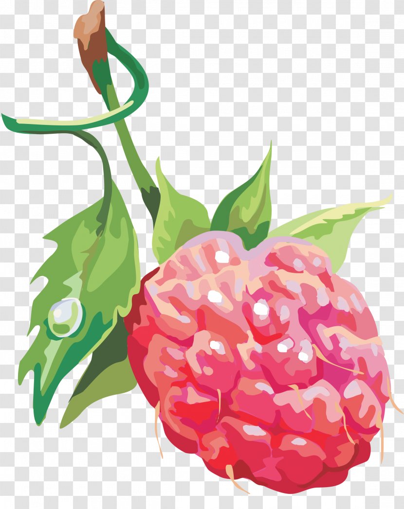 Raspberry - Strawberries - Rraspberry Image Transparent PNG