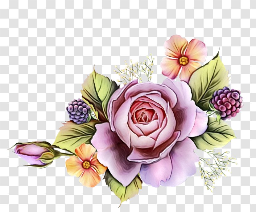 Garden Roses - Rose - Family Purple Transparent PNG