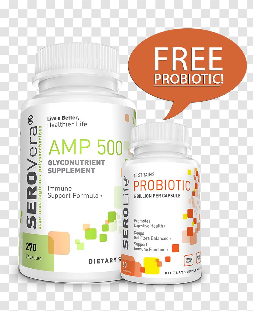 Dietary Supplement Probiotic Immune System Digestion Gastrointestinal Tract - Health Transparent PNG