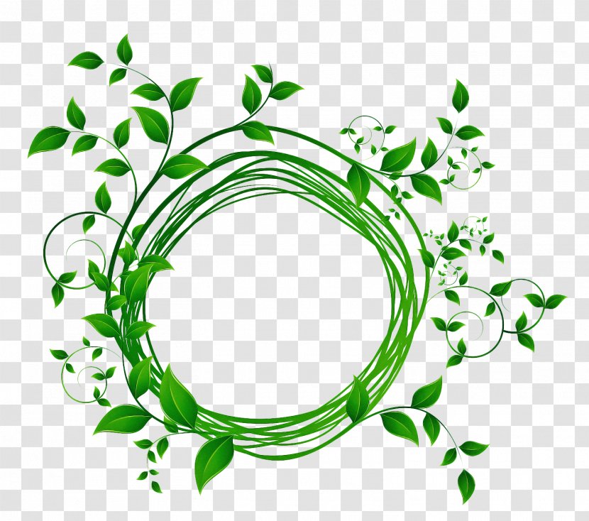 Green Leaf Watercolor - Plant - Flower Transparent PNG