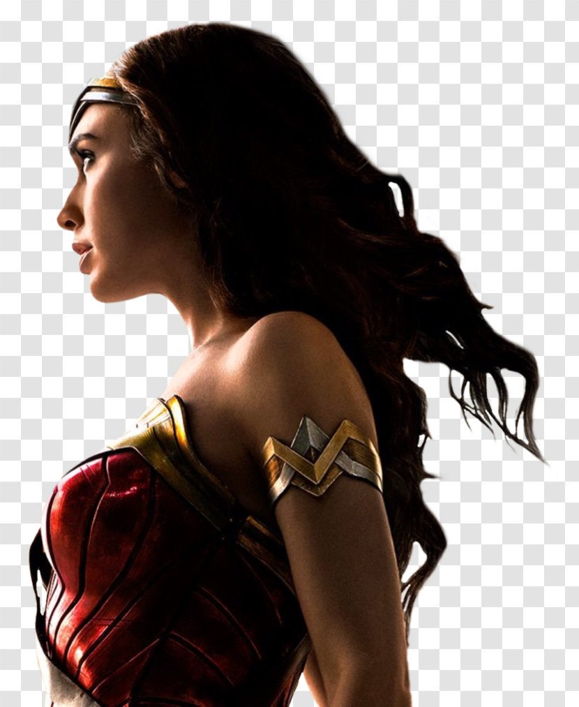 Wonder Woman Batman Cyborg Aquaman Film - Flower Transparent PNG