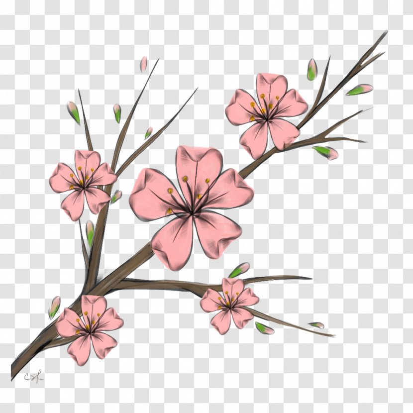 Cherry Blossom Cherries BTS Floral Design Transparent PNG