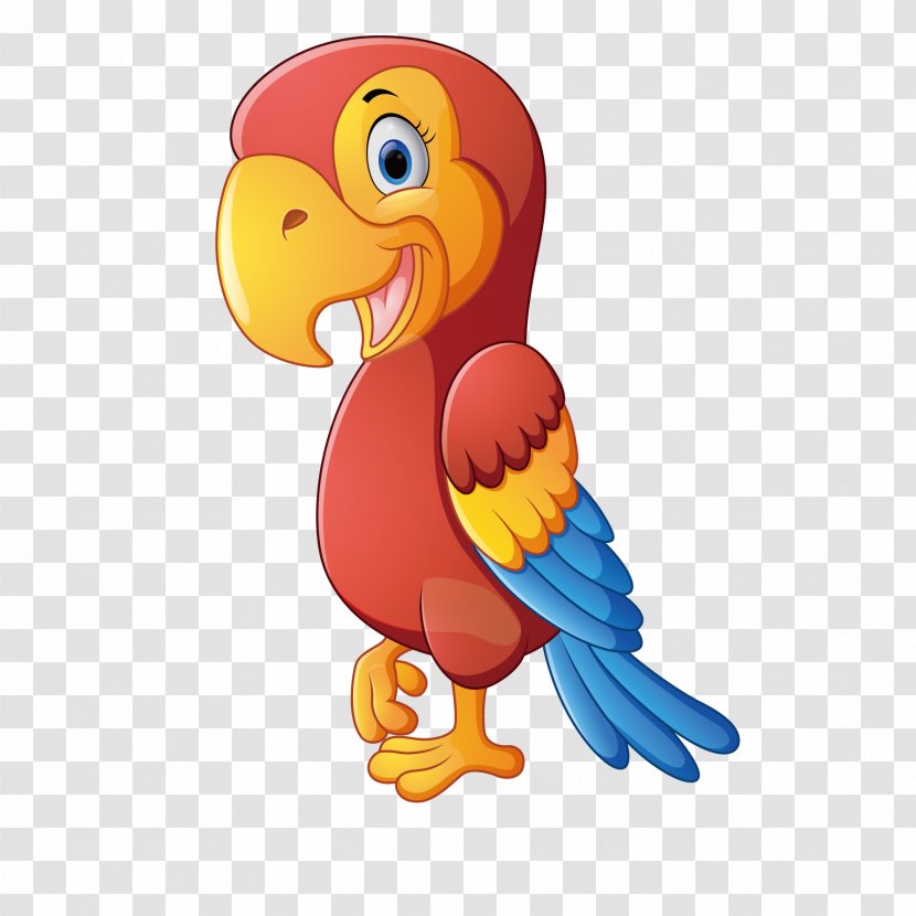 Colorful Parrot - Macaw - Bird Transparent PNG