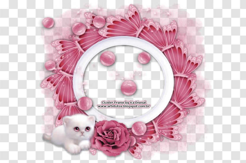 Whiskers Pink M RTV - Cat - Garden Party Transparent PNG