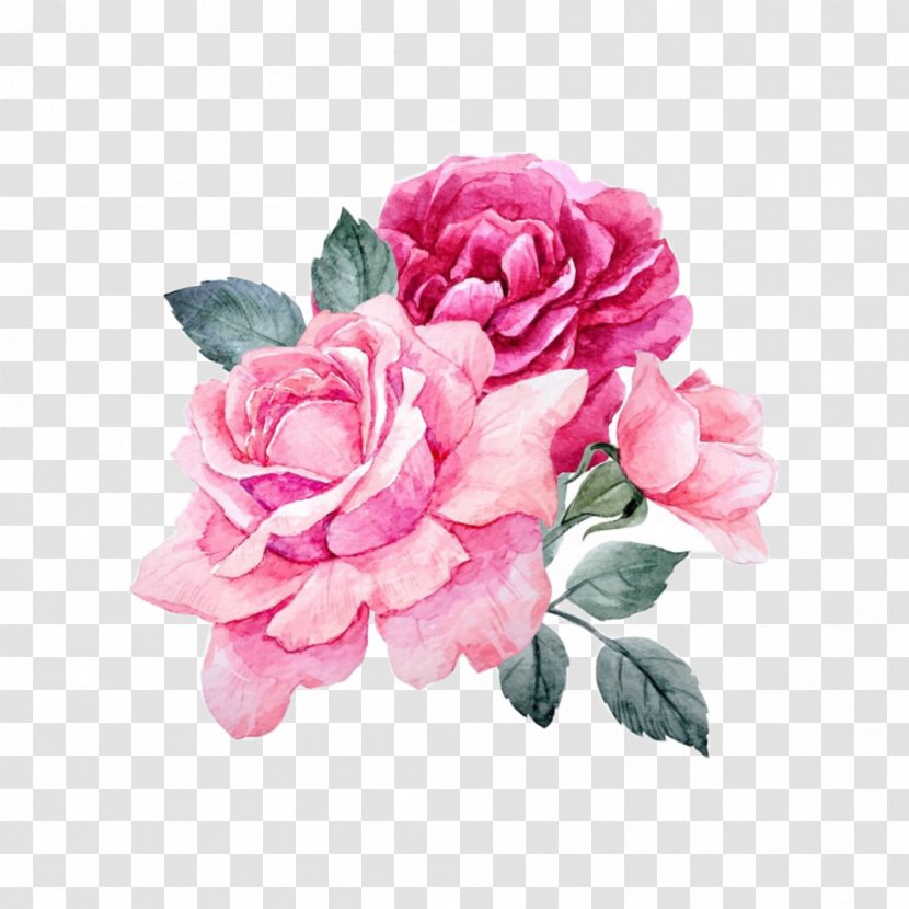 Royalty-free Drawing - Silhouette - Rose Transparent PNG