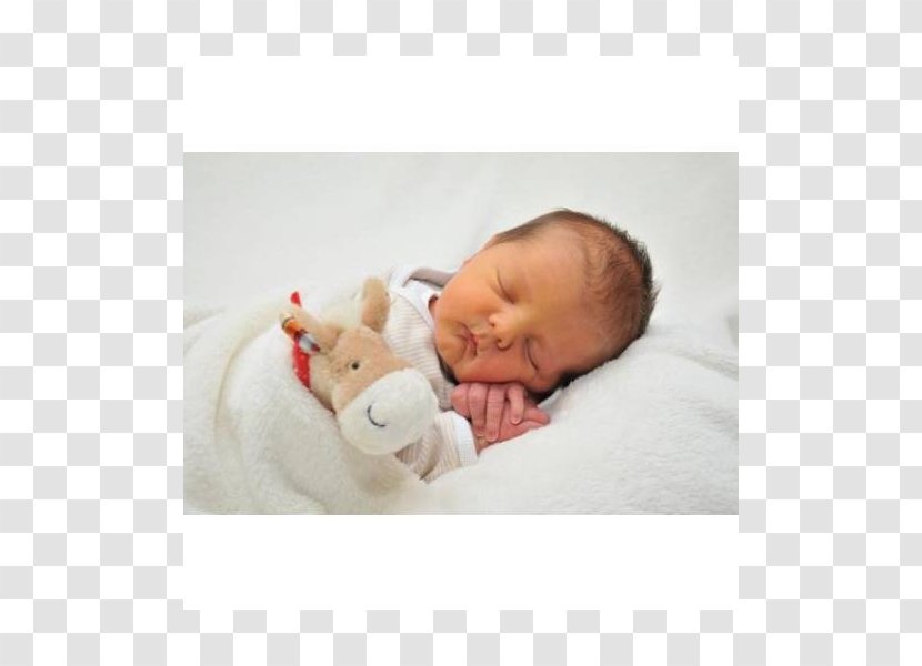 Infant Textile Stuffed Animals & Cuddly Toys Toddler Beige - Gaul Transparent PNG