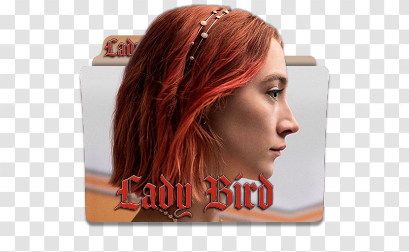 Lady Bird Film Criticism Academy Award For Best Picture Actor - Hair Care Transparent PNG