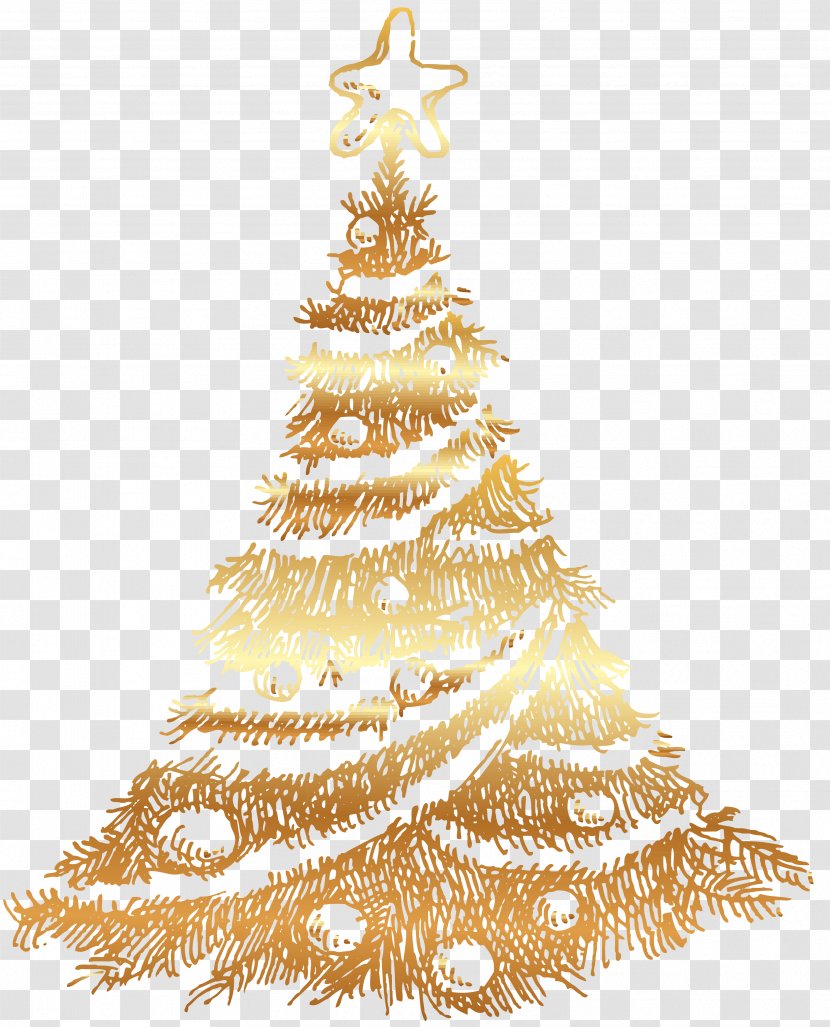 Christmas Tree Spruce Ornament - Fir Transparent PNG