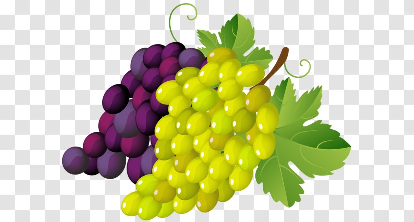 Common Grape Vine Wine Leaves Clip Art - Free Content - Cliparts Transparent PNG