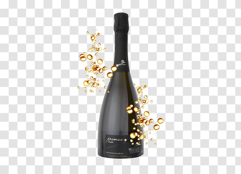 Lambrusco Sparkling Wine Champagne Prosecco - Pistil Transparent PNG