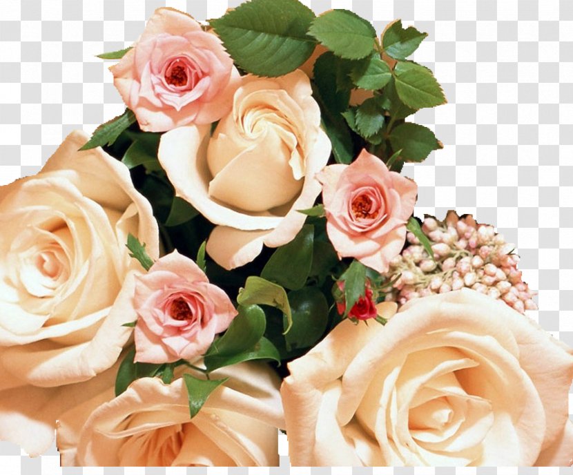 Wedding Cake Flower Bouquet Rose - Family Transparent PNG