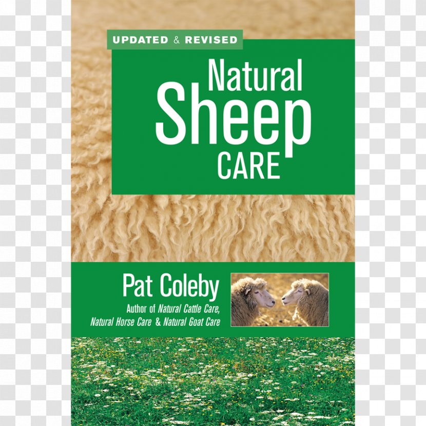 Natural Sheep Care Goat Shetland Livestock - Brand Transparent PNG