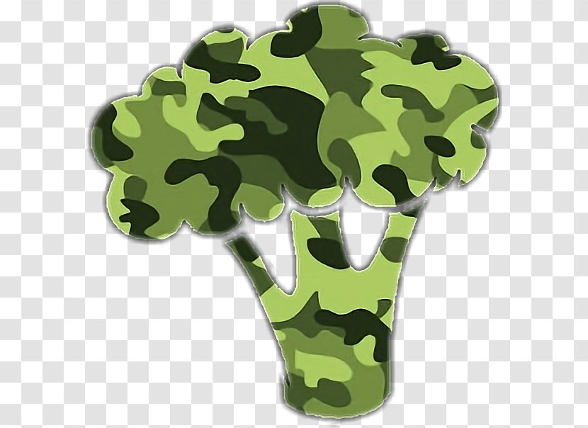 TeamBrocoli Desktop Wallpaper Camouflage - Military - Brocoli Transparent PNG