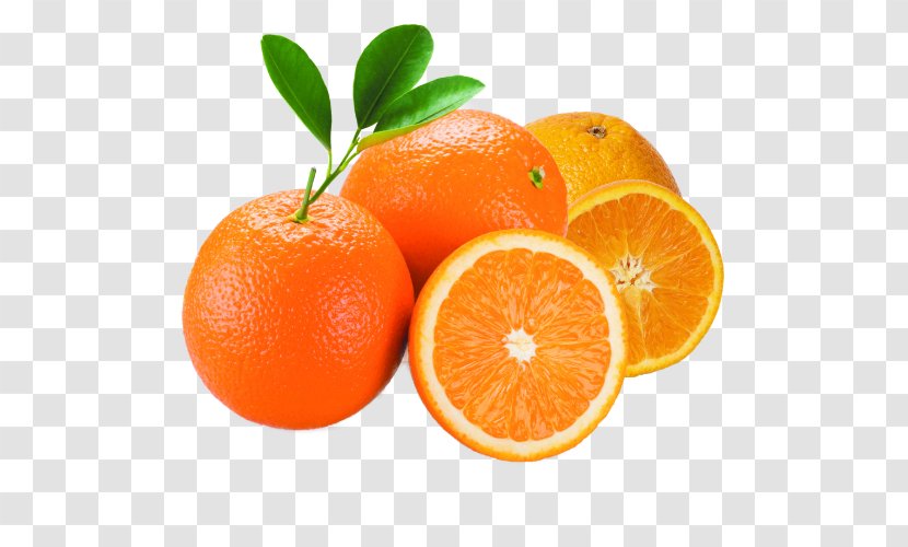 Citrus × Sinensis Orange Juice Mandarin Tangerine - Grapefruit Transparent PNG