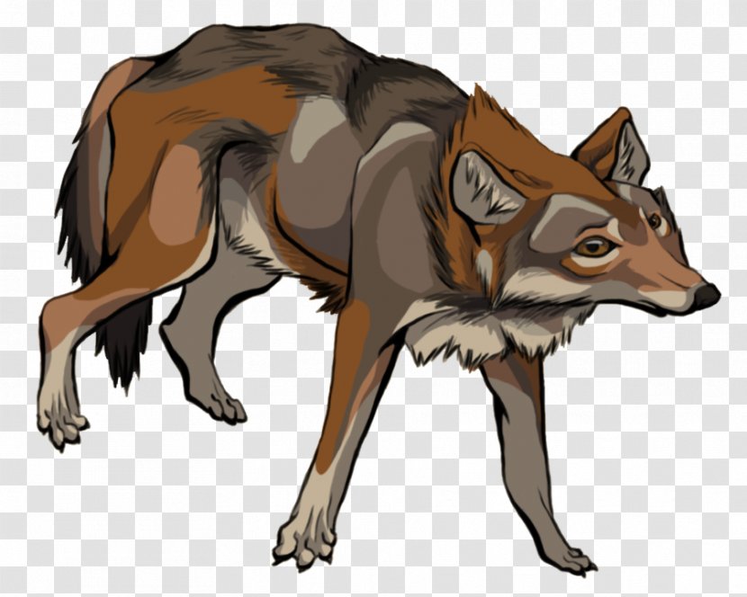 Red Fox Gray Wolf Coyote Jackal - Cartoon Transparent PNG