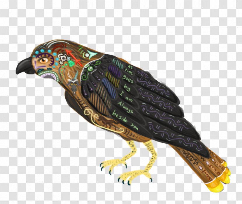 Beak Parrot Bird Of Prey Feather Transparent PNG
