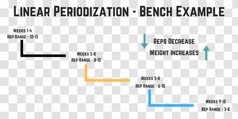 Sports Periodization Strength Training - Brand Transparent PNG