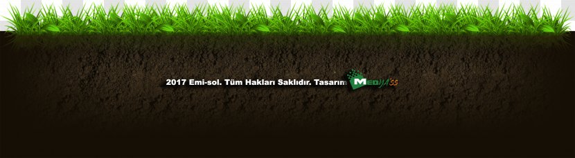 Worm Vermicompost Soil Eisenia Fetida Fertilisers - Grass Family Transparent PNG