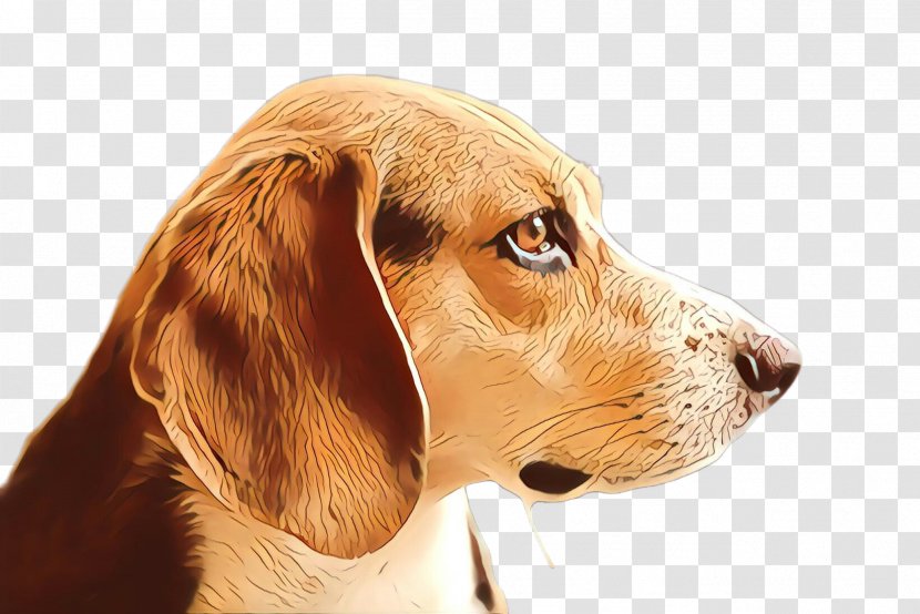 Dog Cartoon - Ear - Rare Breed Sporting Group Transparent PNG