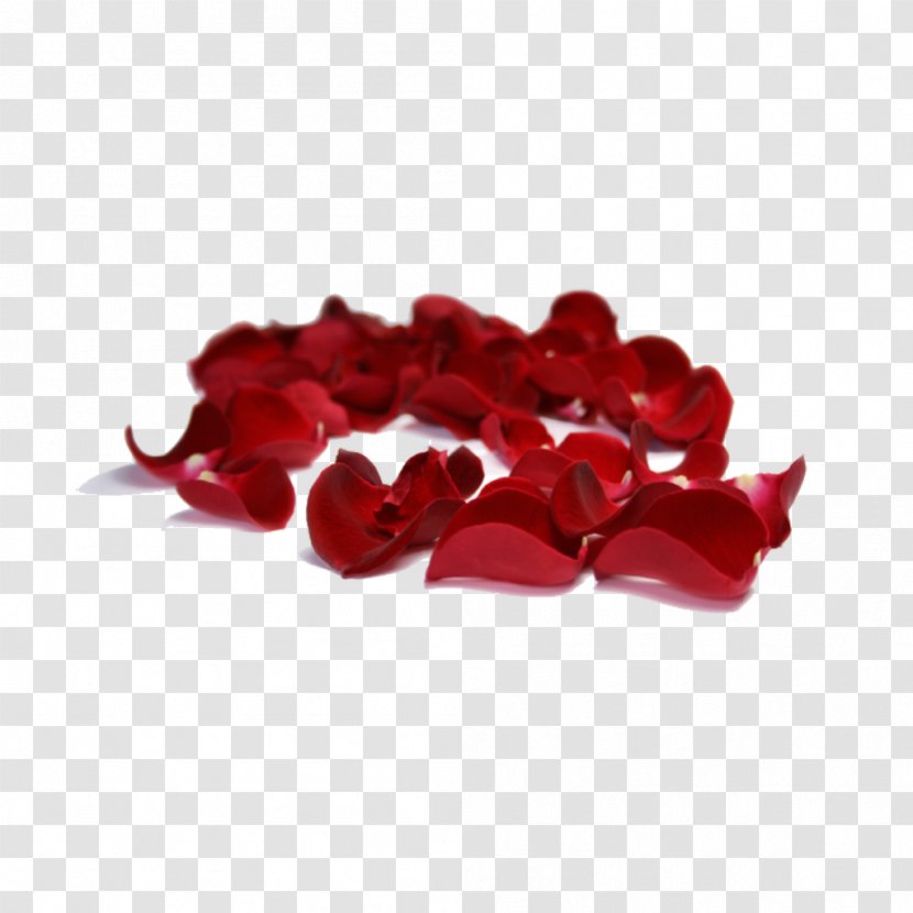 Petal Clip Art Garden Roses - Red - Compass Rose Petals Falling Transparent PNG