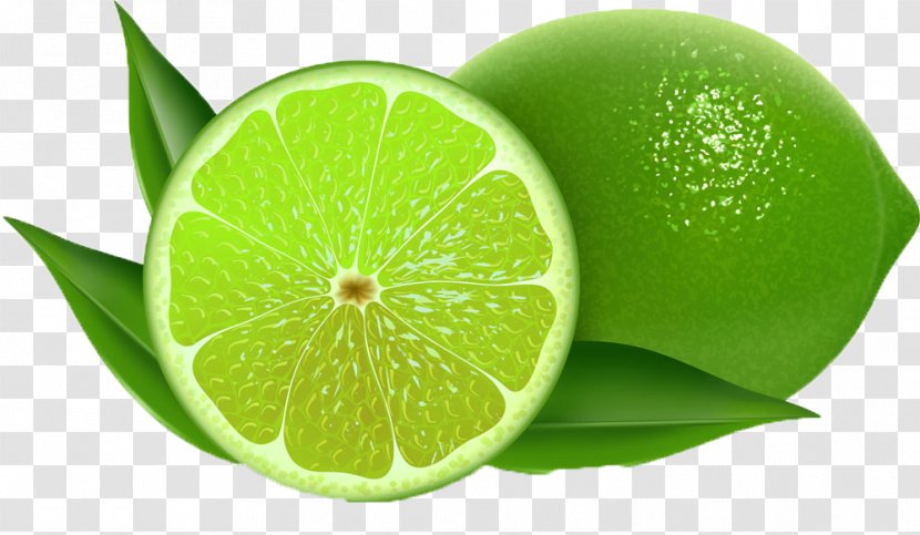 Lemon Persian Lime Key Clip Art - Juice - Fresh Transparent PNG
