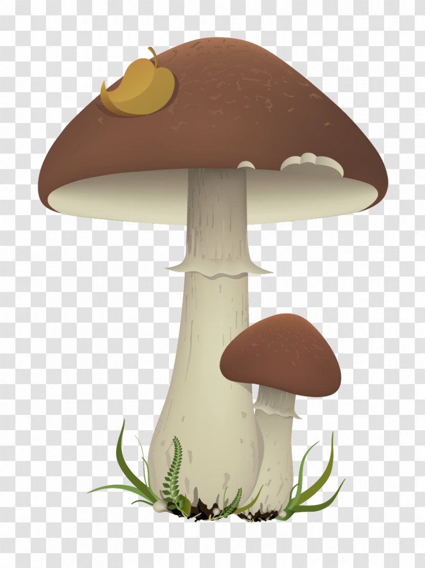 Edible Mushroom Clip Art - Fungus Transparent PNG