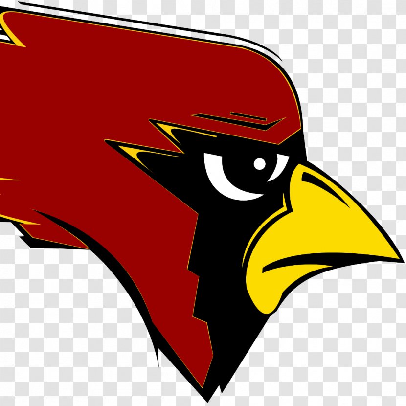 New Bremen High School St. Louis Cardinals Gymnasium - Bird Transparent PNG