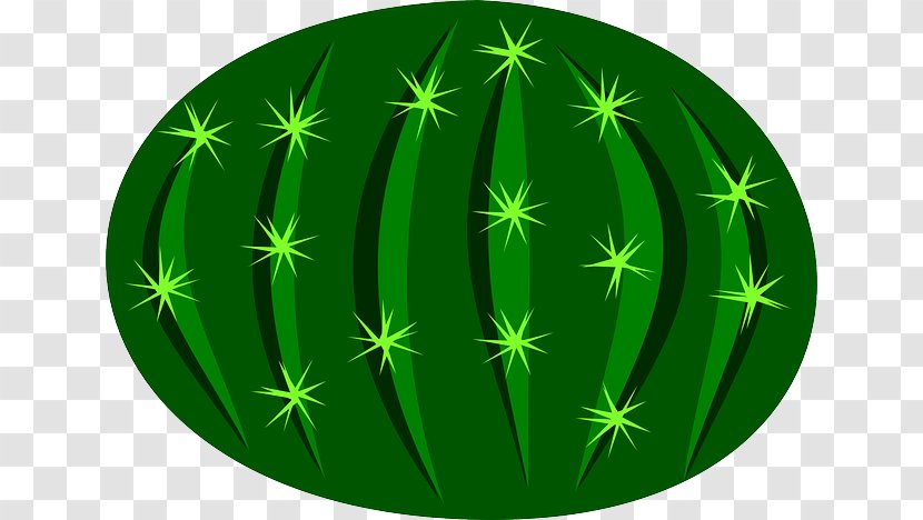 Cactaceae Clip Art - Leaf - Cactus Ball Transparent PNG