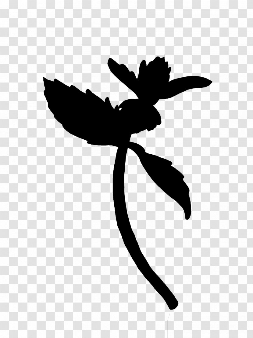 Flower Stencil - Blackandwhite - Logo Transparent PNG