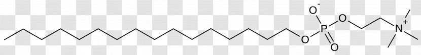 Line Angle - Symmetry Transparent PNG