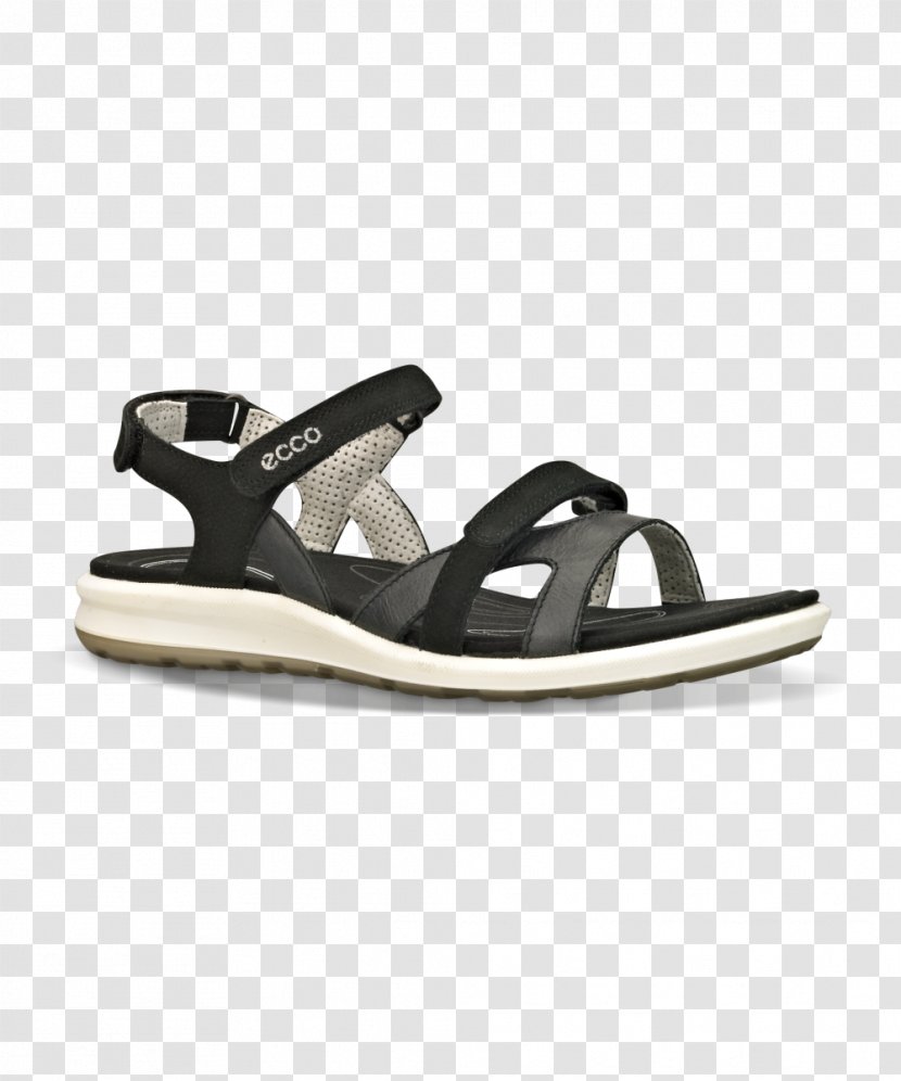 Flip-flops Sandal ECCO Shoe Footwear Transparent PNG