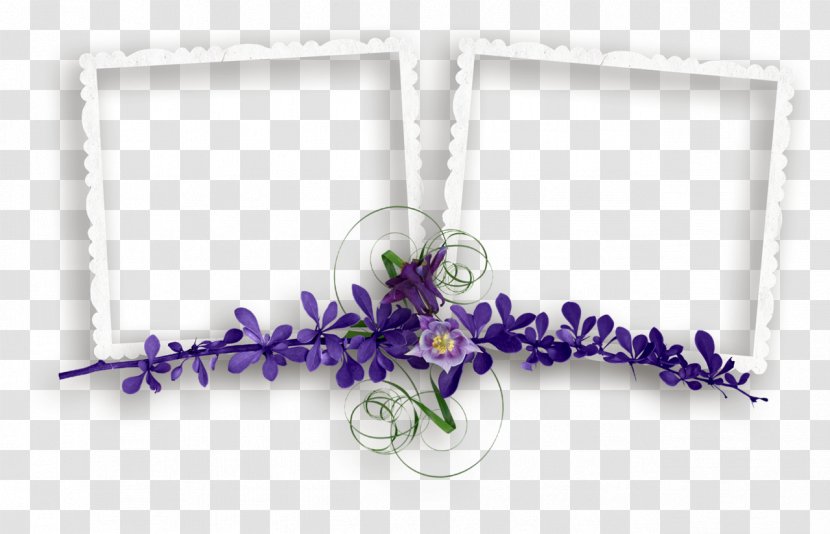 Flowers Background - Iris - Plant Transparent PNG