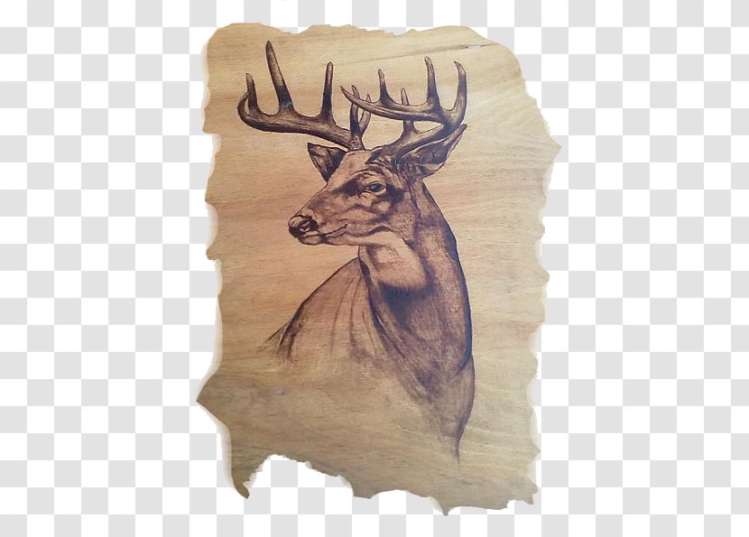Elk Reindeer Drawing Pyrography Antler Transparent PNG