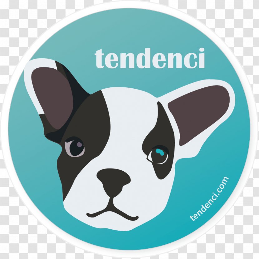 Boston Terrier Miller Outdoor Theatre French Bulldog Puppy Dog Breed Transparent PNG