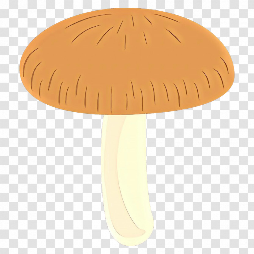Mushroom Fungus Table Transparent PNG