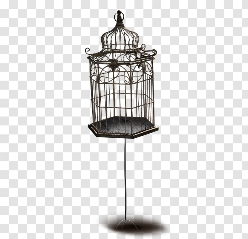 Birdcage - Cage - Bird Transparent PNG