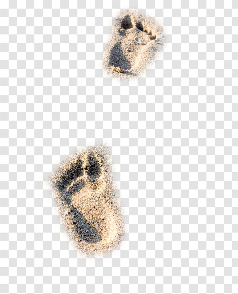 Beach Sand Footprint - Stock Photography - Beautiful Footprints Transparent PNG