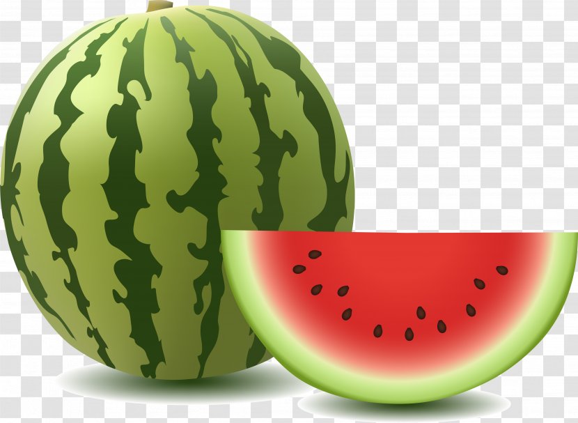 Watermelon Vector Graphics Image Clip Art Illustration - Fruit Transparent PNG