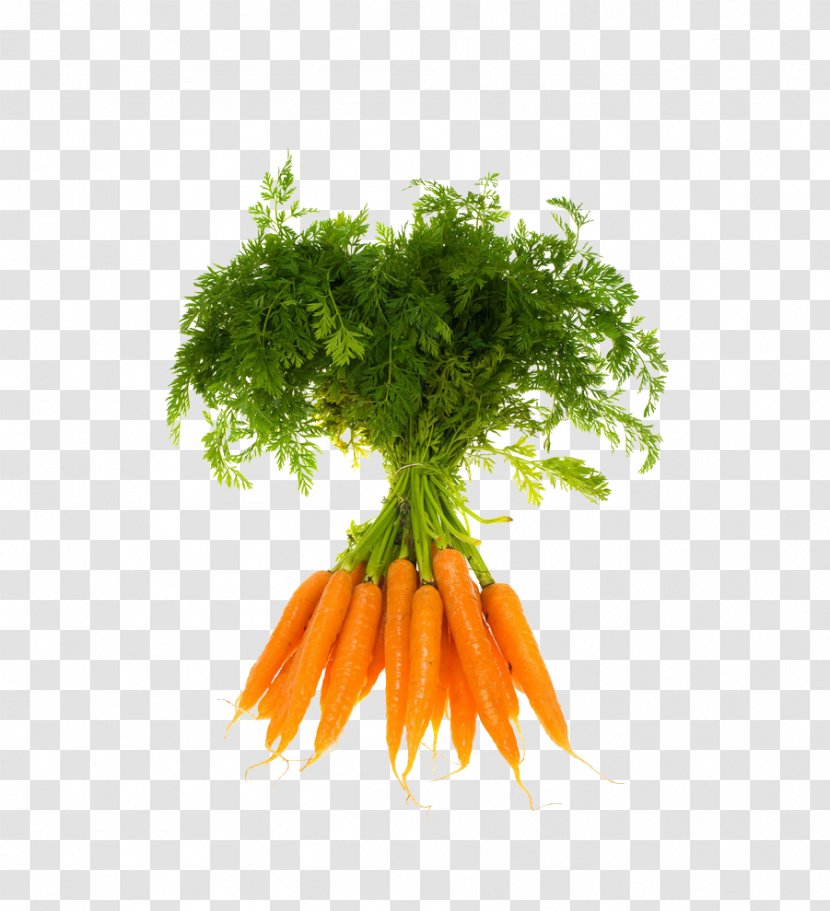 Vegetable Organic Food Fruit Carrot - A Transparent PNG