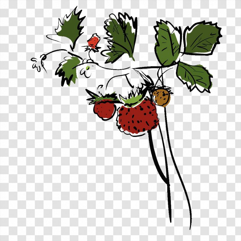 Strawberry Drawing - Tree - Hand-painted Results Transparent PNG