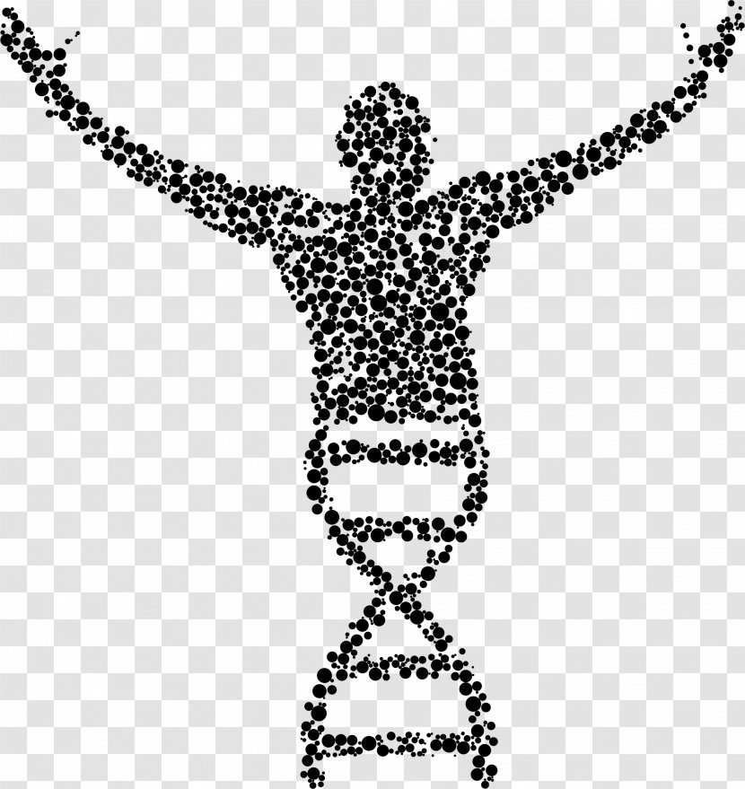 Molecular Biology DNA Clip Art - Science Transparent PNG