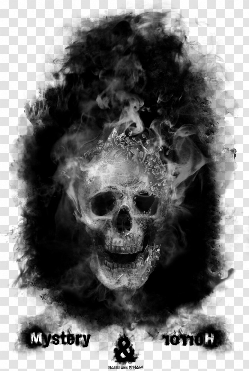 Crystal Skull Snout Out-of-place Artifact Jaw - Spirit Photography Transparent PNG