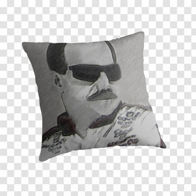 Cushion Throw Pillows - Pillow - Dale Earnhardt Transparent PNG