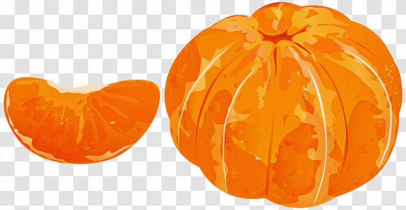 Orange Transparent PNG