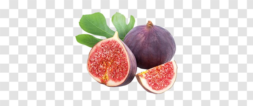 Weeping Fig Plant Fruit Tree Mission - Food Transparent PNG