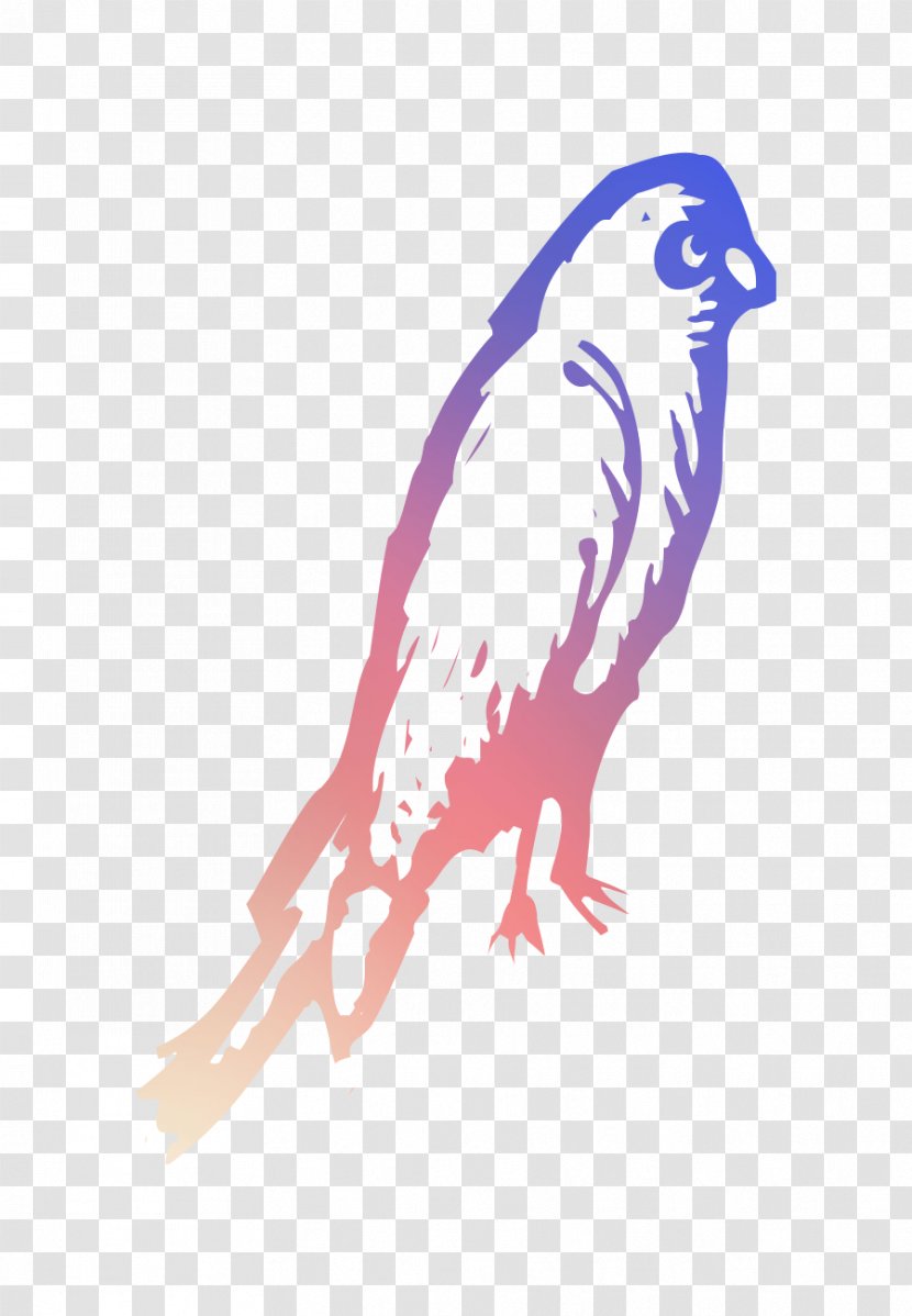 Owl Hawk Eagle Beak Feather - Bird Of Prey Transparent PNG