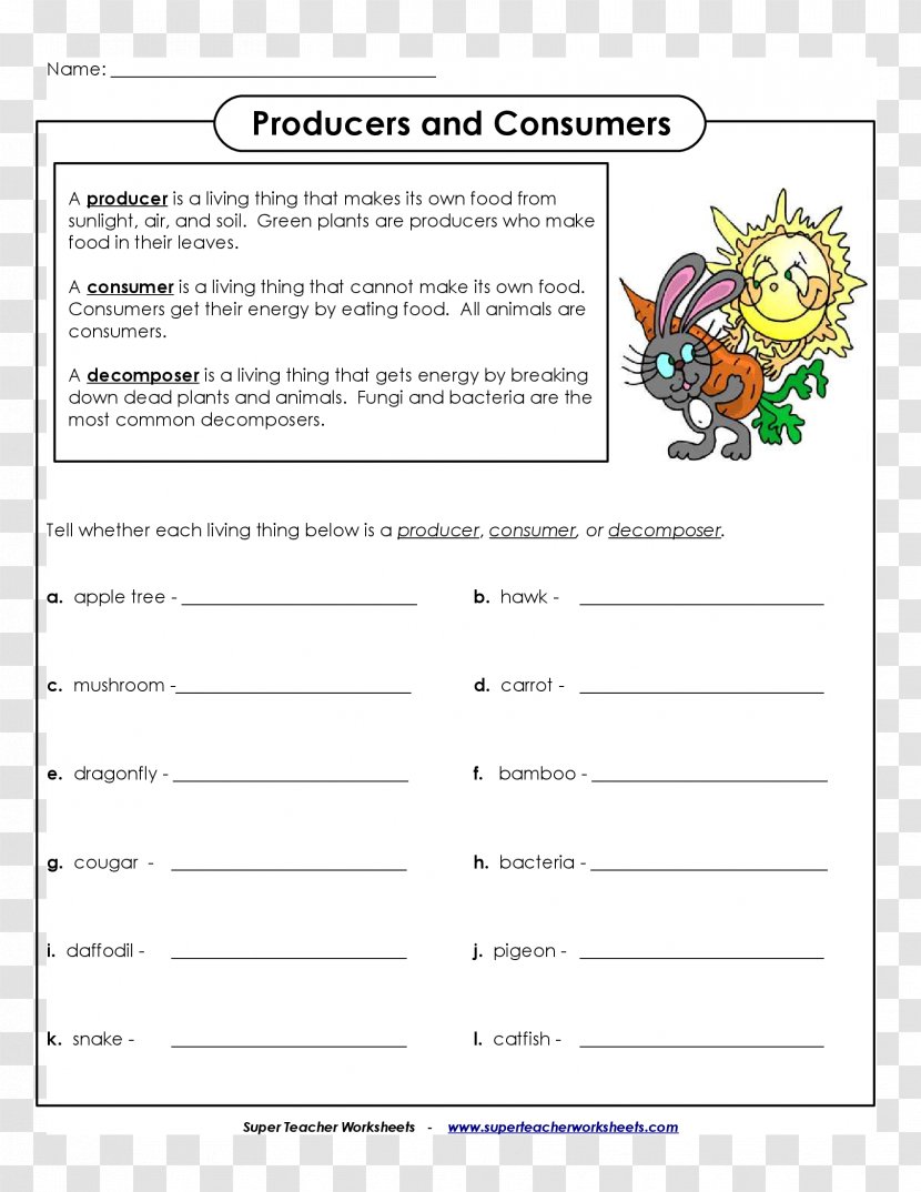 Primary Producers Consumer Decomposer Food Chain Worksheet - Web Page - Best Teacher Transparent PNG