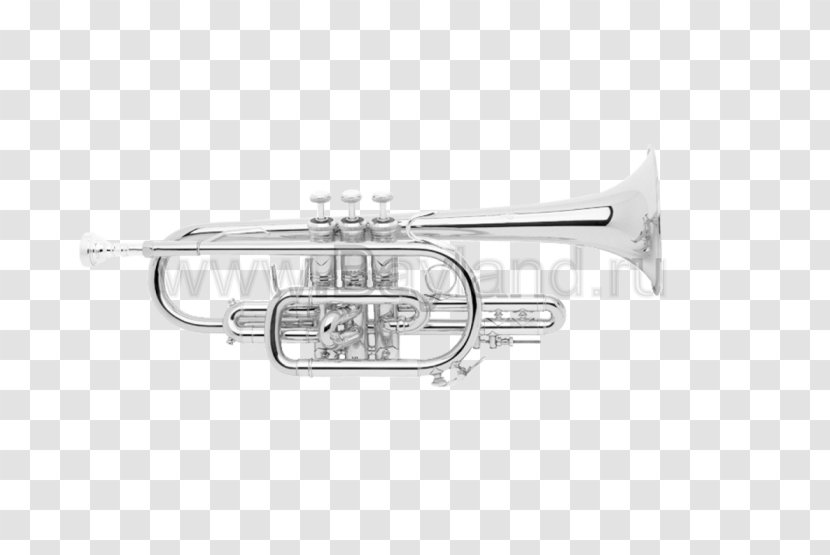 Cornet Trumpet Vincent Bach Corporation Brass Instruments Mellophone - Tree Transparent PNG