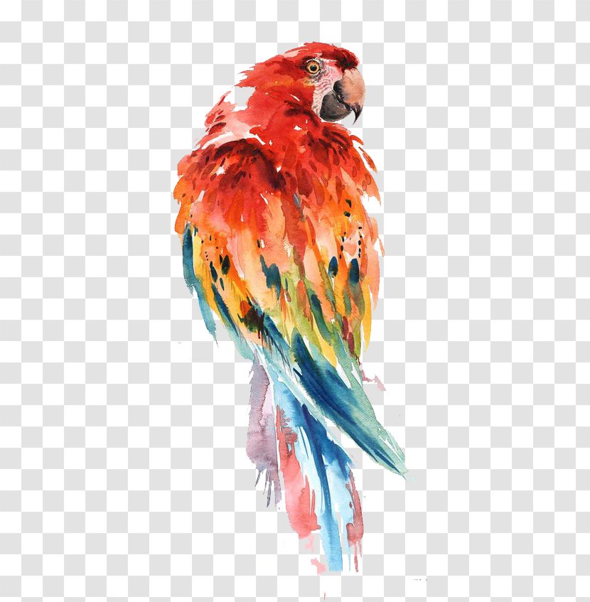 Parrot Watercolor Painting Bird Drawing Art - Lorikeet Transparent PNG