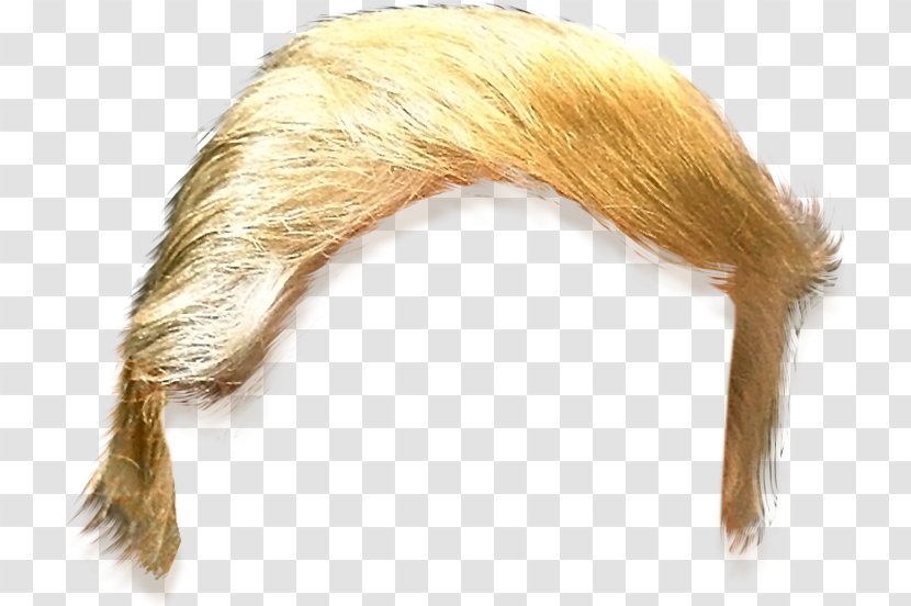United States Trump Hair Clip Art - President Of The - Hairstyle Template Transparent PNG